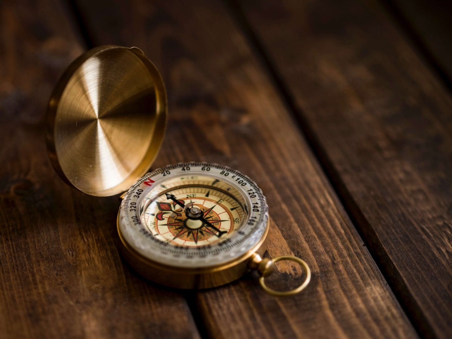 aaron-burden-NXt5PrOb_7U-unsplash (1)